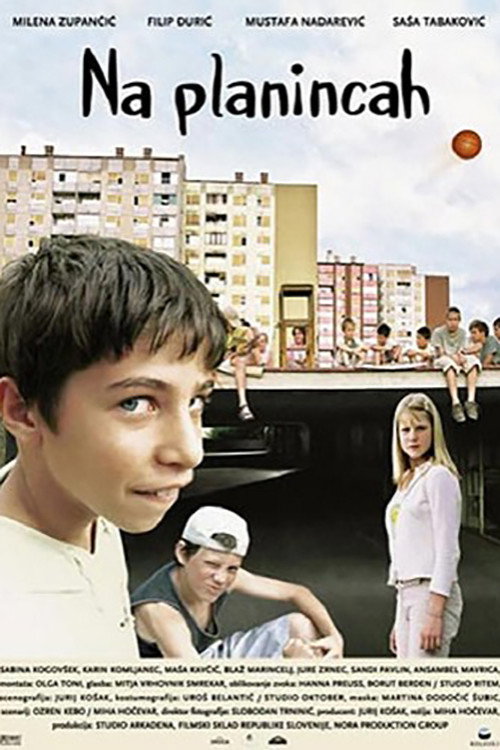 Movie poster for In the Mountains (2003)