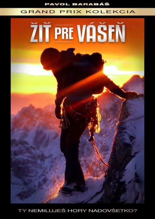 Movie poster for Žiť pre vášeň (2014)