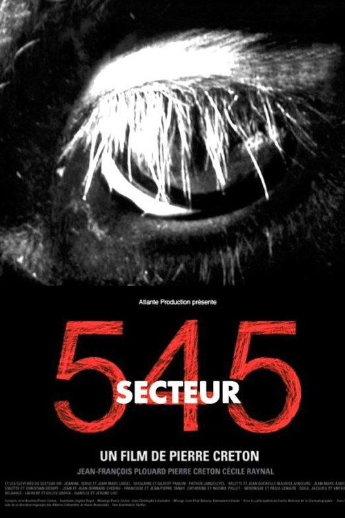 Movie poster for Secteur 545 (2004)