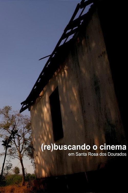 Movie poster for The Day Cinema Met Santa Rosa dos Dourados (2011)