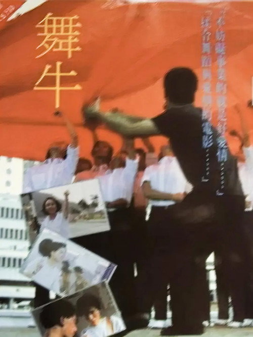 Movie poster for Dancing Bull (1990)