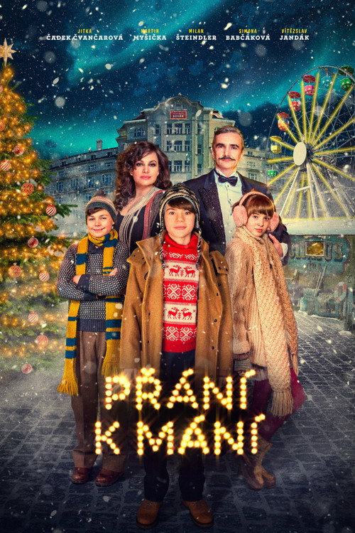 Movie poster for The Third Wish (2017)