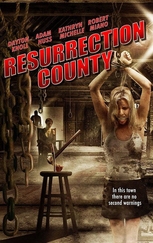 Movie poster for Resurrection County (2008)