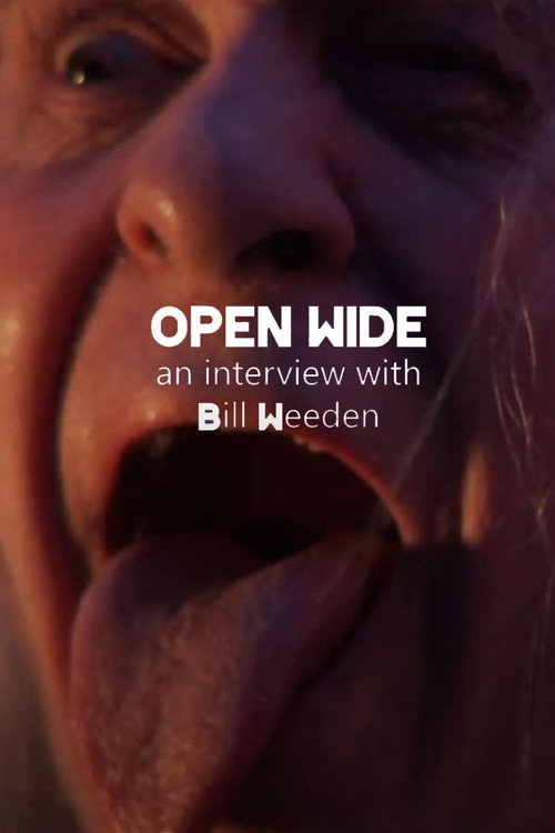 Movie poster for Open Wide (2024)