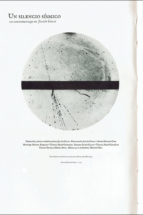 Movie poster for A seismic silence