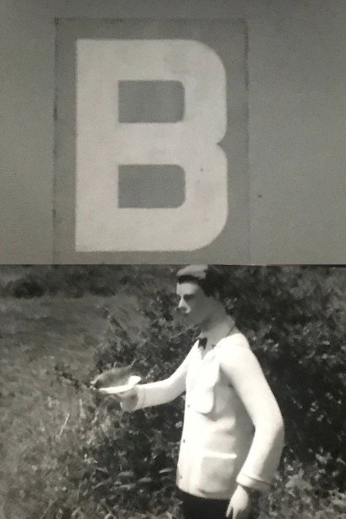 Movie poster for B (1969)