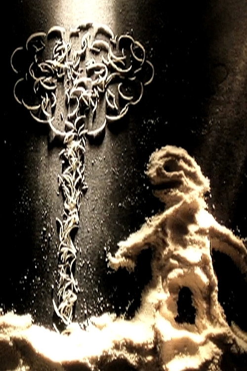 Movie poster for The Birth (2009)