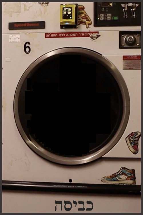Movie poster for laundry (2025)