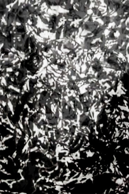 Movie poster for Mesh - P.I.V. 7 (2007)