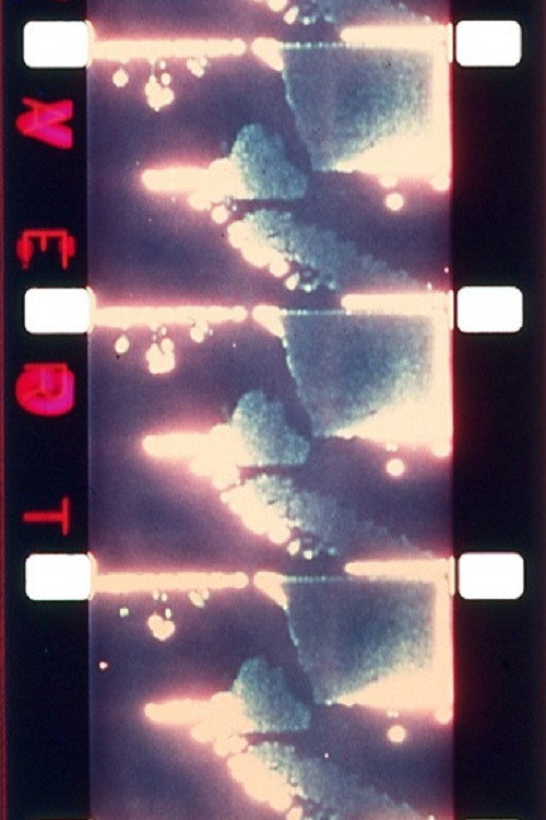 Movie poster for The Politics of Perception (1973)