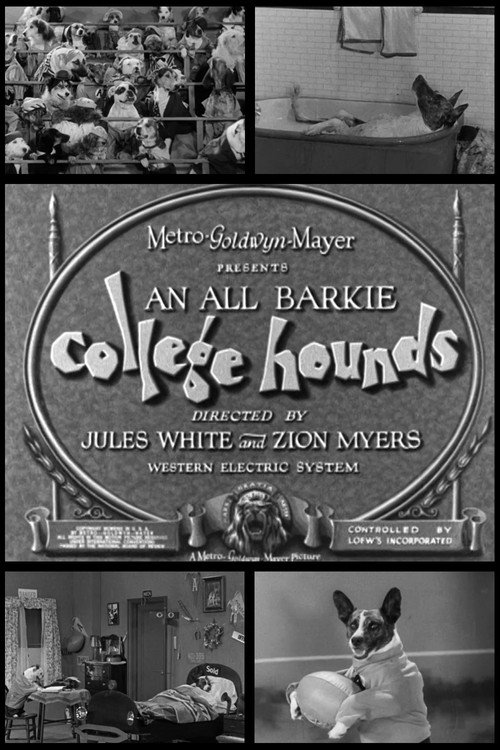 Movie poster for College Hounds (1929)