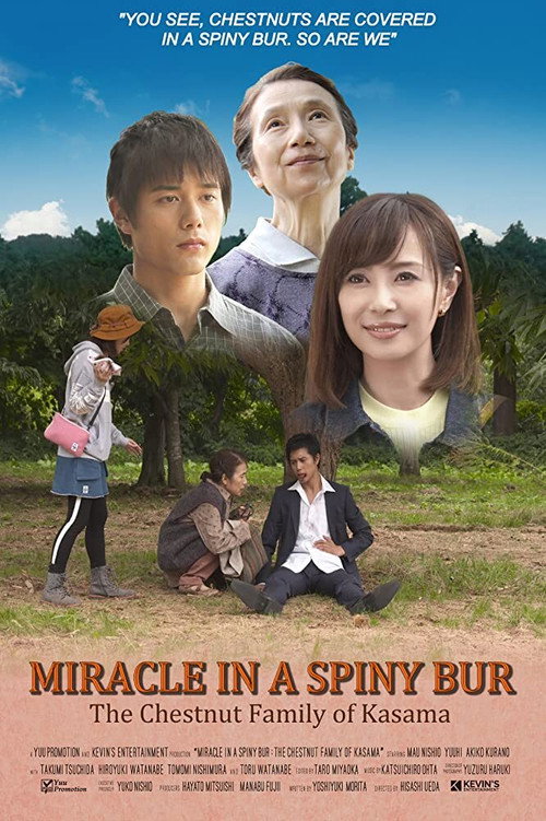 Movie poster for Miracle in Kasama (2018)