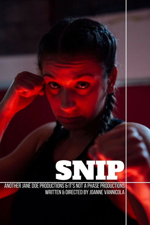 Movie poster for Snip (2017)