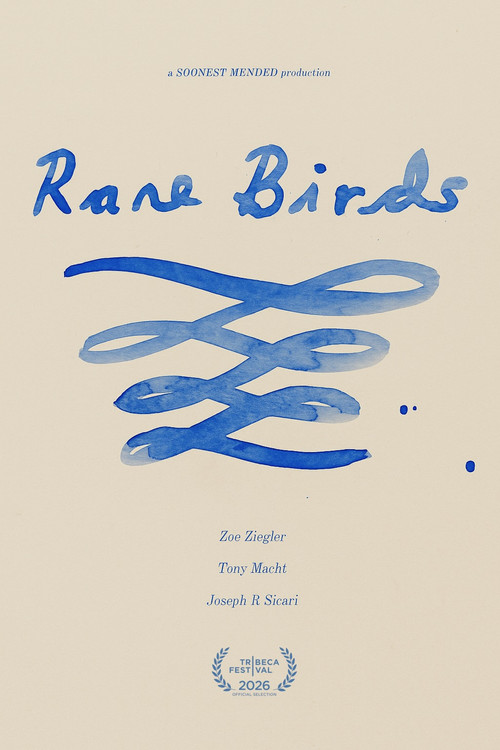 Movie poster for Rare Birds (2026)