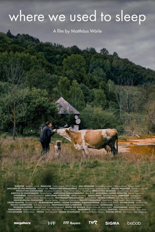 Movie poster for Where We Used to Sleep (2024)