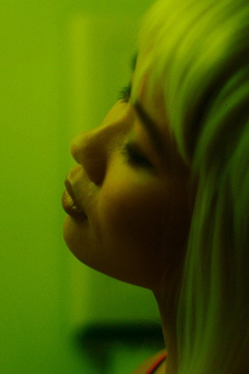Movie poster for Skin