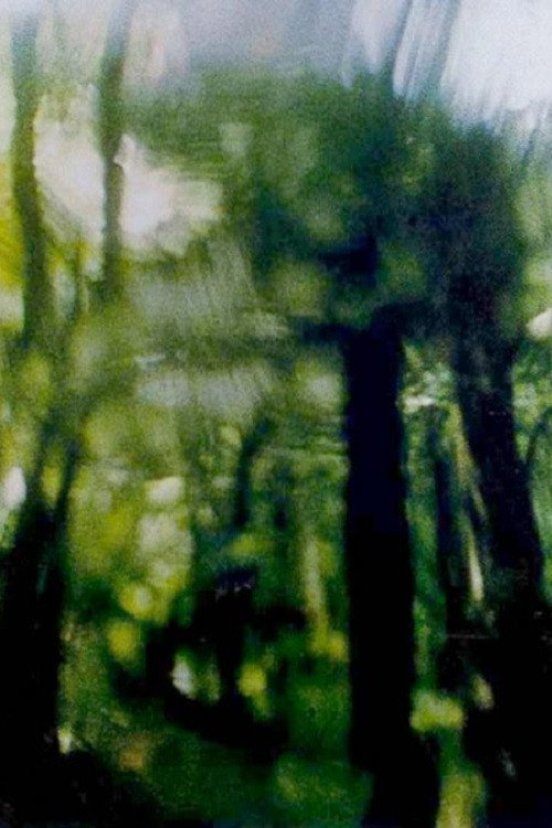 Movie poster for Green Canopy (1994)