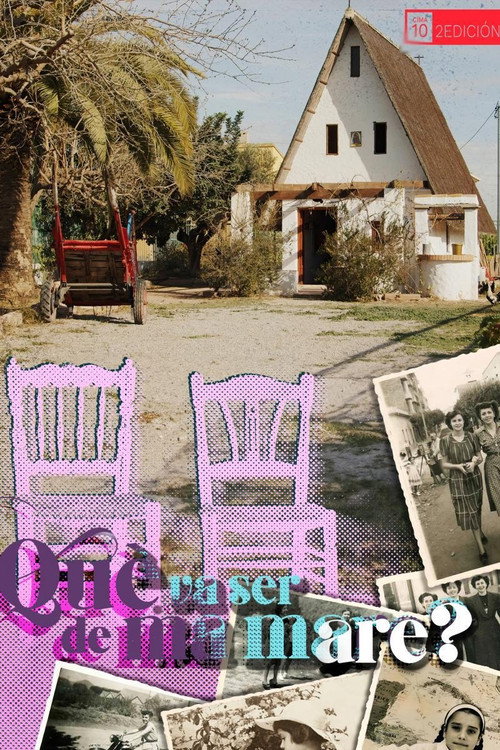 Movie poster for Què va ser de ma mare? (2024)