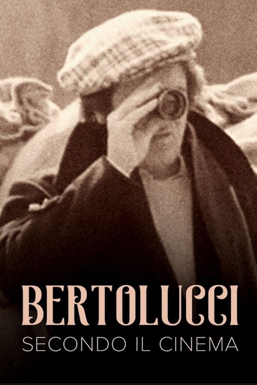 Movie poster for The Cinema According to Bertolucci (1976)