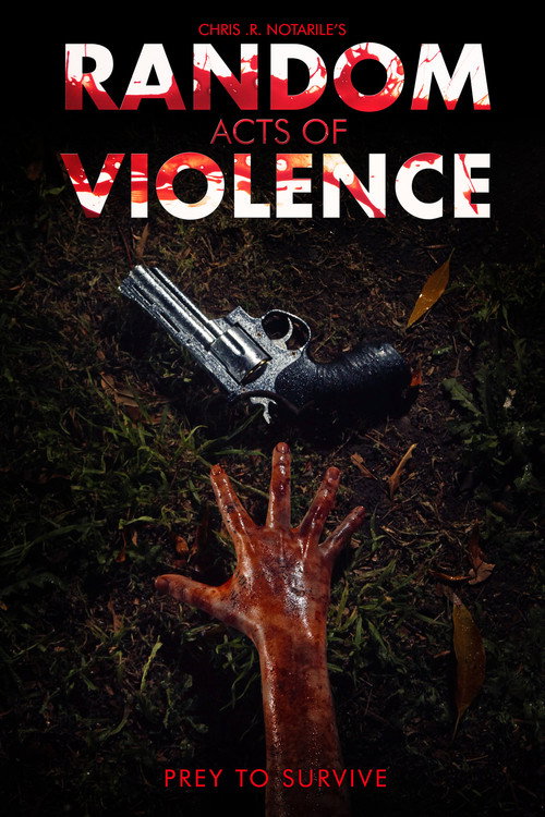 Movie poster for Random Acts of Violence