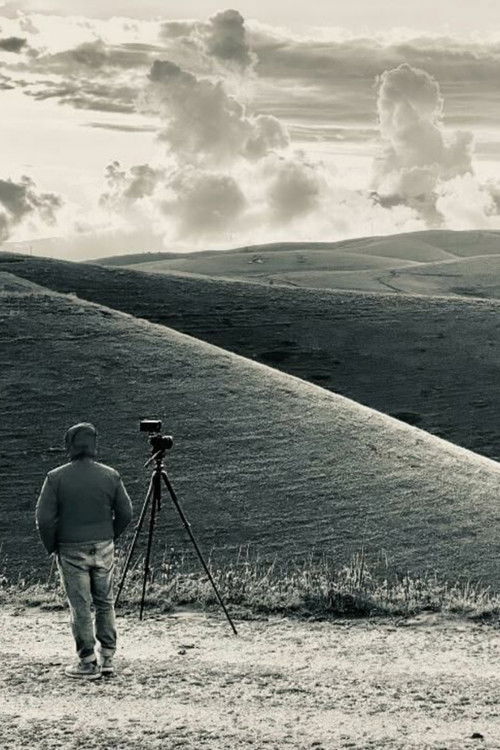 The Road To Podestaria poster