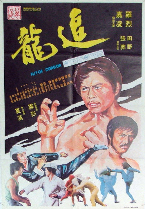 Movie poster for Fist of Dragon (1977)