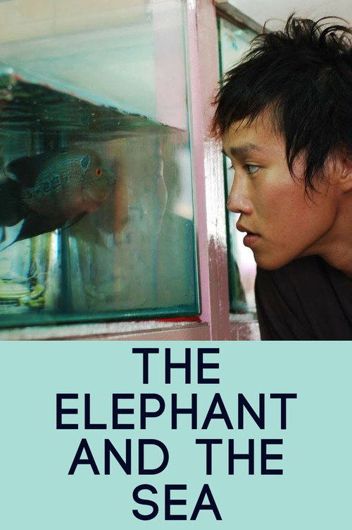 Movie poster for The Elephant and the Sea (2007)