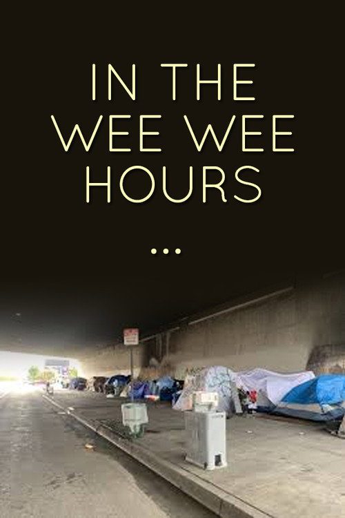 Movie poster for In the Wee Wee Hours... (1987)