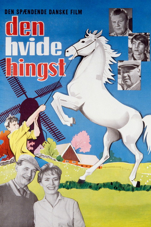 Movie poster for The Boy Who Loved Horses (1961)
