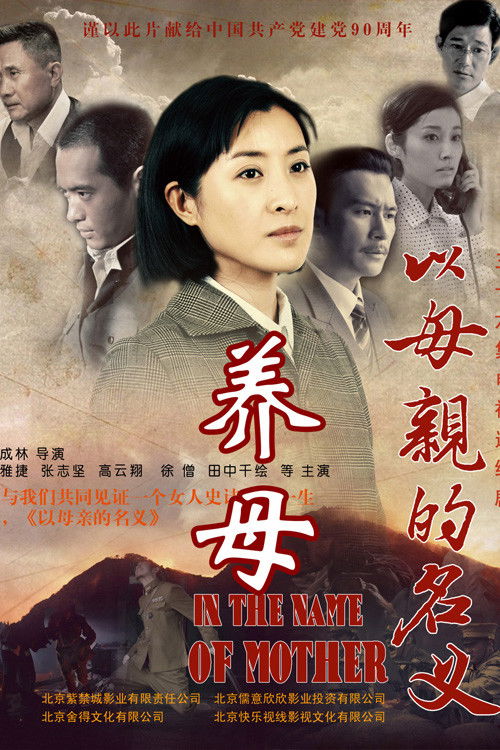 养母 poster