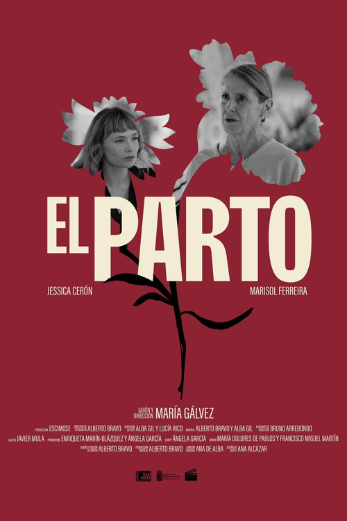 Movie poster for El Parto