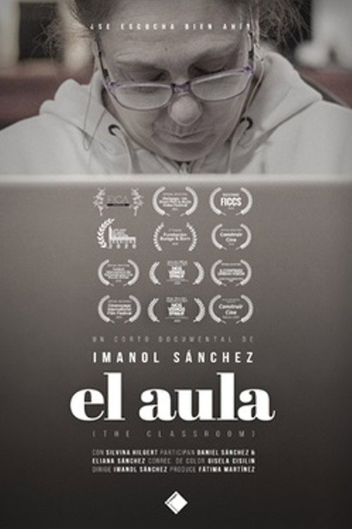 Movie poster for El aula (2020)
