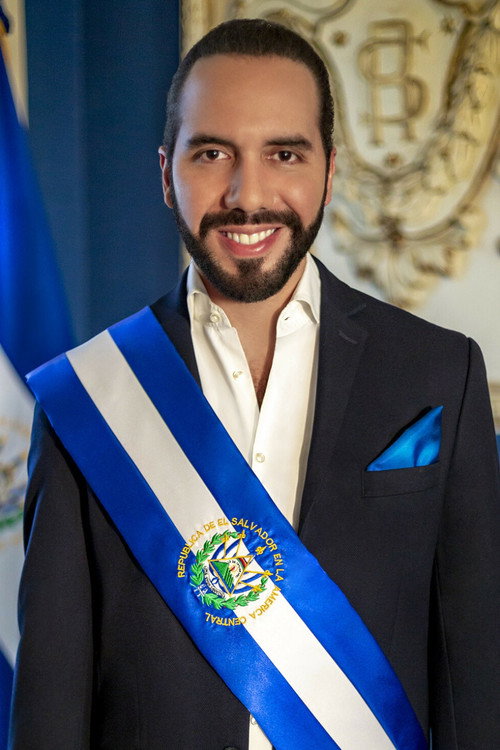 Photo of Nayib Bukele, Acting