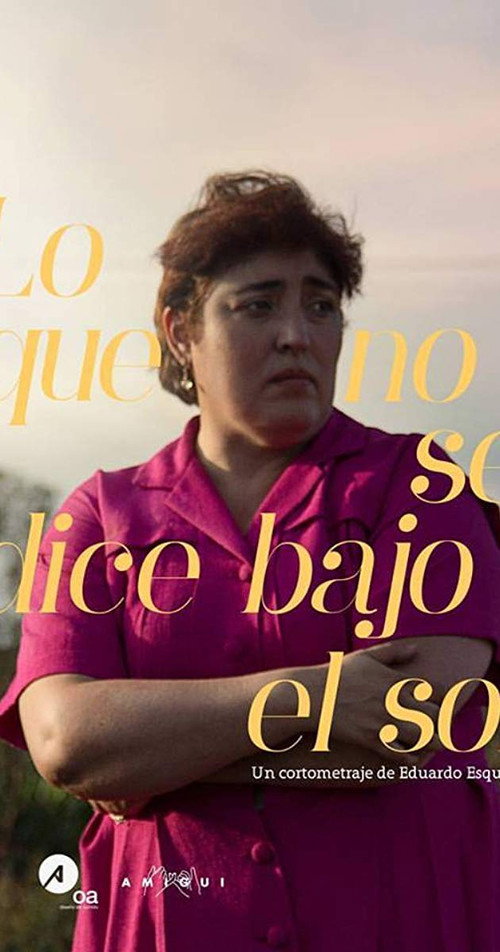 Movie poster for Lo Que No Se Dice Bajo El Sol (2017)