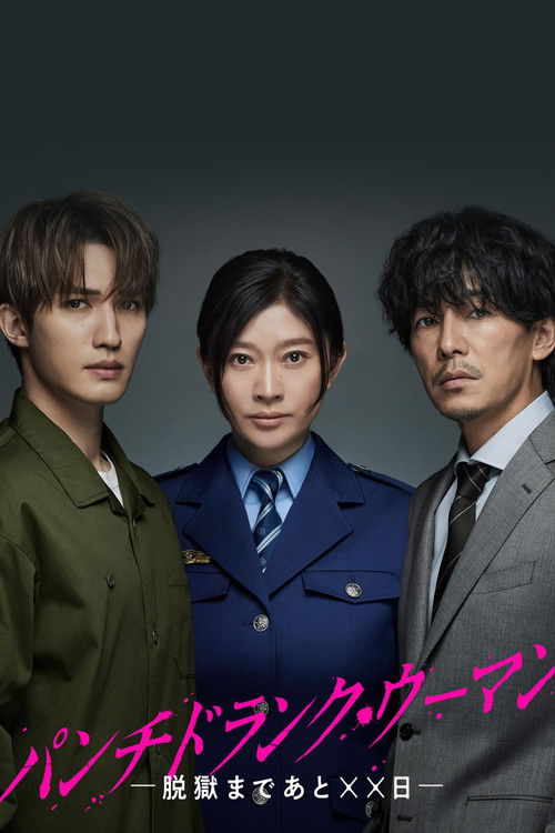 Punch-Drunk Woman poster