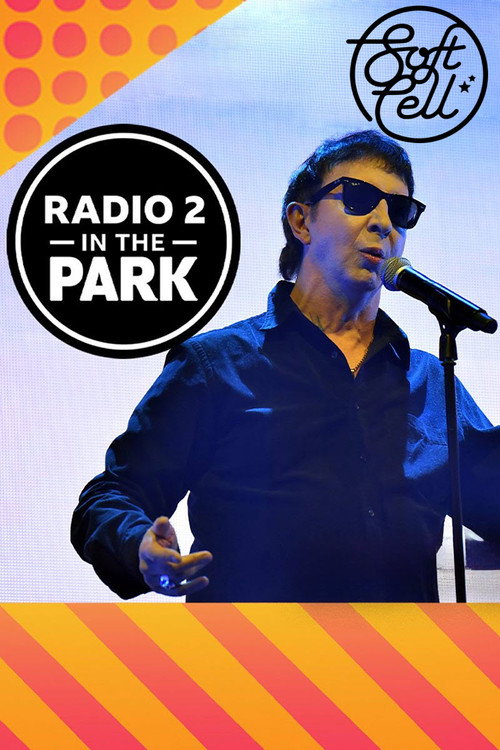 Movie poster for Soft Cell: Radio 2 in the Park (2023)