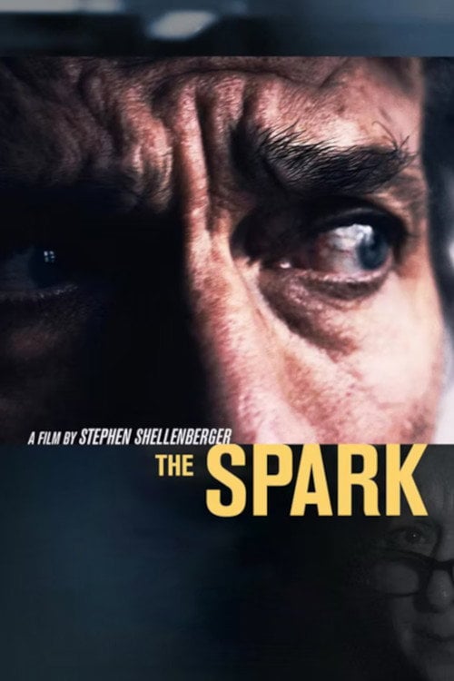 Movie poster for The Spark (2018)