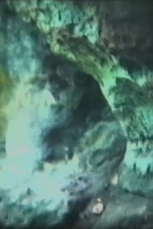 Movie poster for Penetrating Through the Cave (1979)