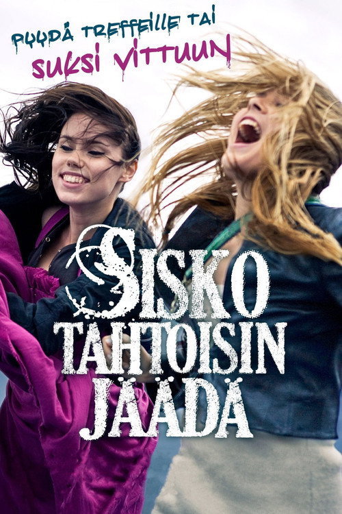 Movie poster for Run Sister Run! (2010)