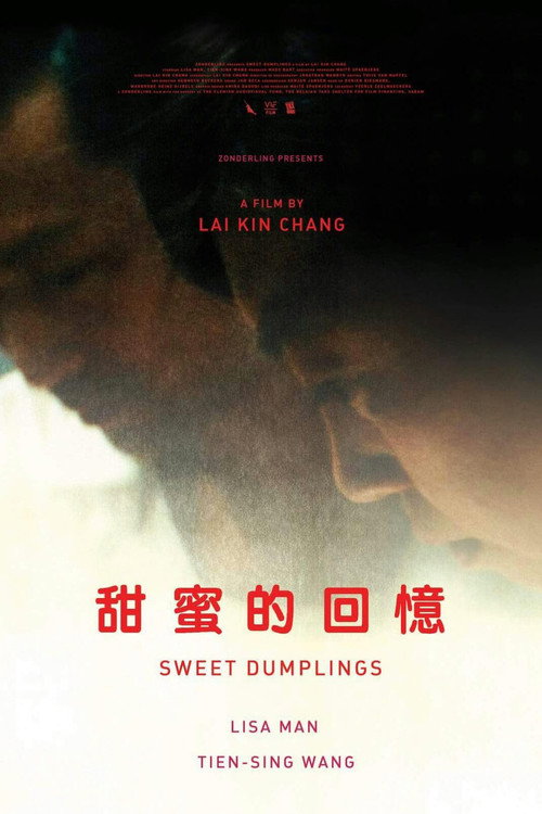 Movie poster for Sweet Dumplings (2016)