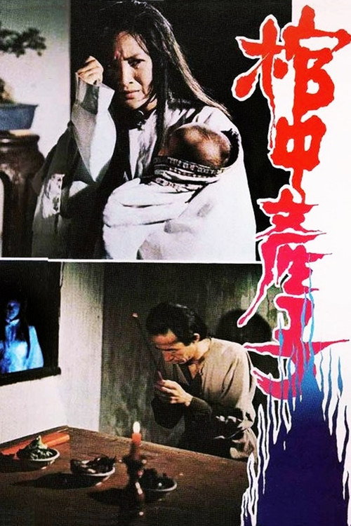 Movie poster for The Child Delivery in the Coffin (1980)