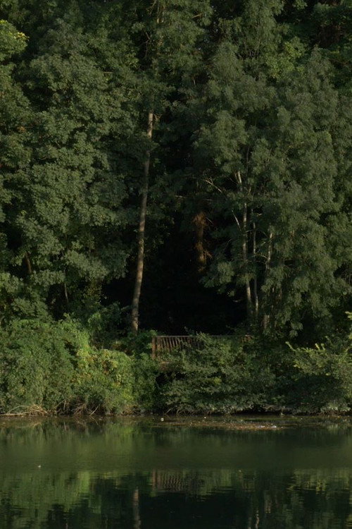 Movie poster for Étude d'un Paysage (2022)