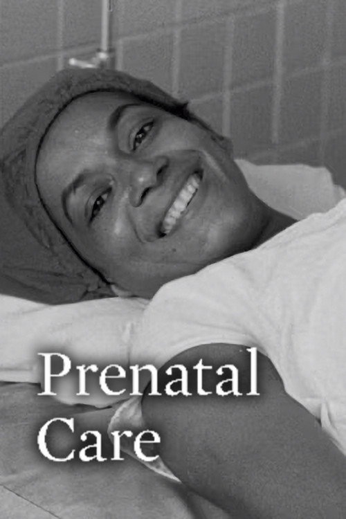 Movie poster for Prenatal Care (1972)