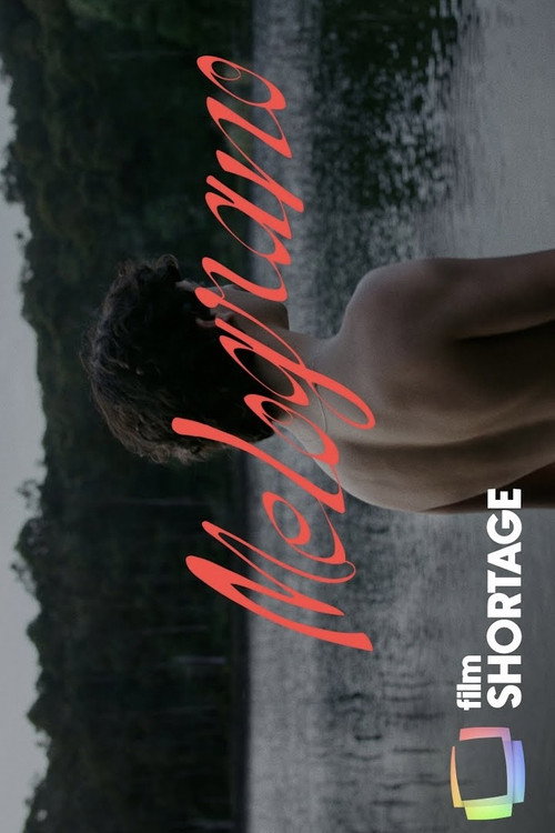Movie poster for Melograno (2023)