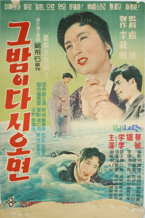 Movie poster for When the Night Comes Again (1958)