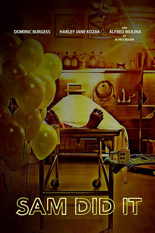 Movie poster for Sam Did It (2018)