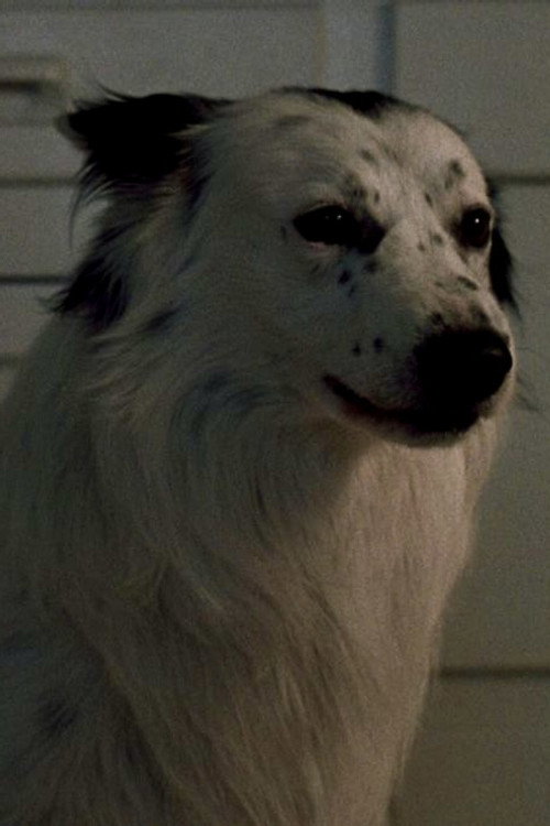 Photo of Jake, Acting