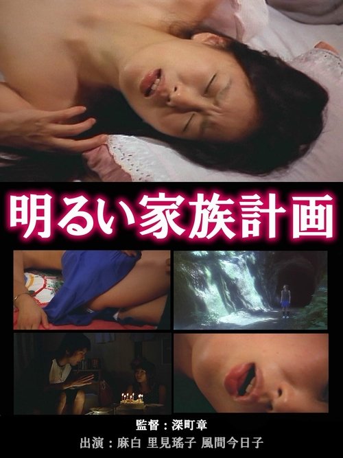 Movie poster for The Novelist's Affair: The Pleasures of Infidelity (2003)