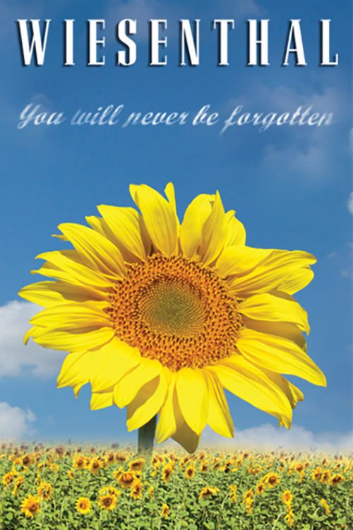 Movie poster for Wiesenthal (2015)