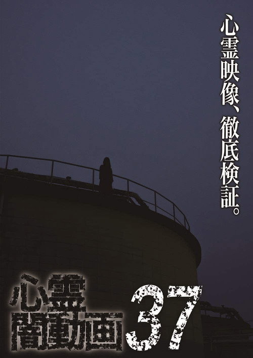 Movie poster for Psychic Darkness Video 37 (2019)